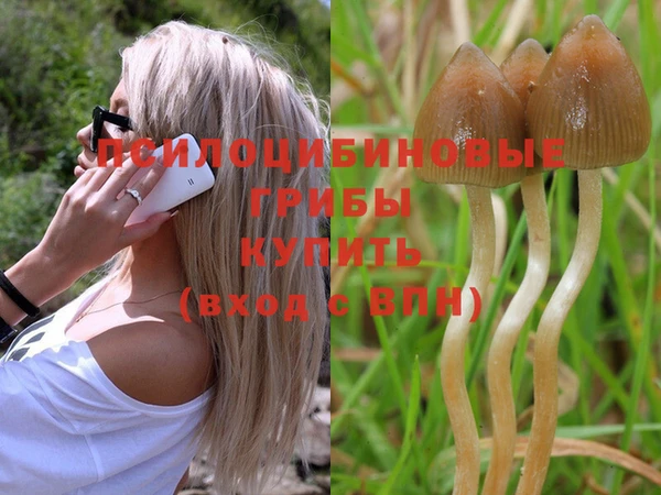 индика Алексеевка